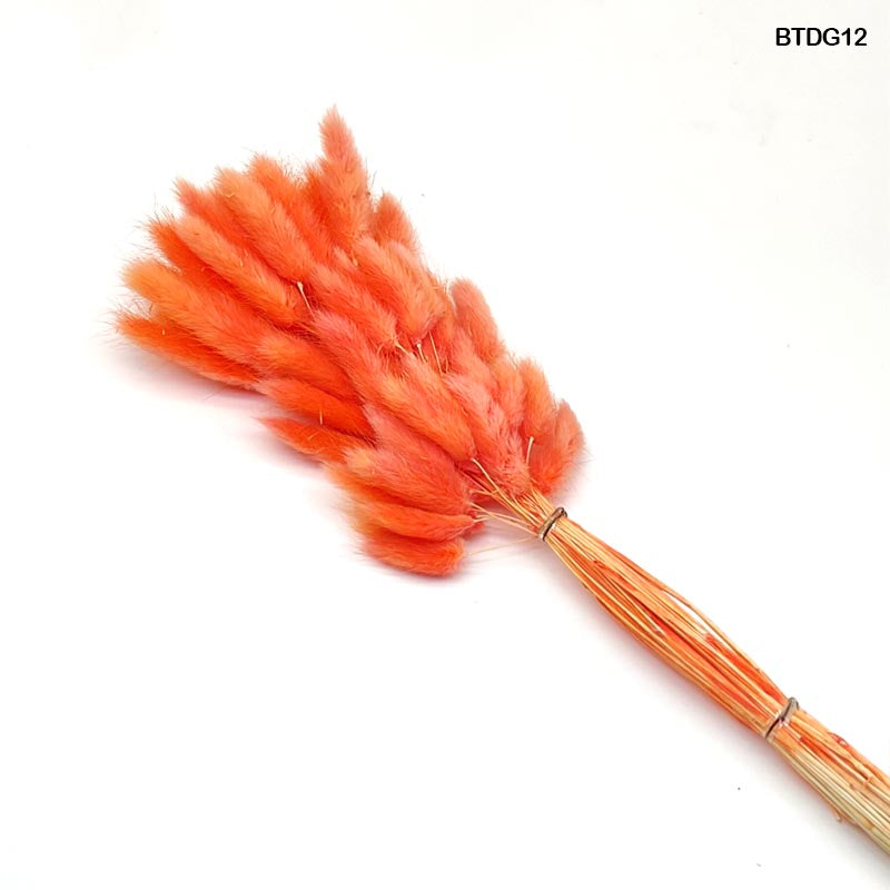 BUNNY TAIL DRIED GRASS 60 PCS (BTDG12)