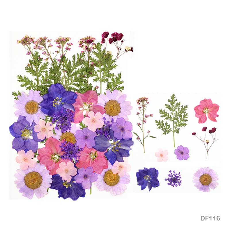 DF116- 7 DRY FLOWER SHEET