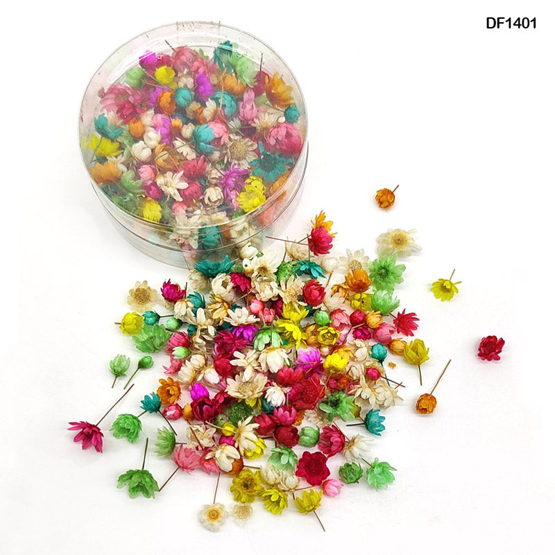 DF1401 DRY FLOWER 140PCS ROUND BOX MULTI