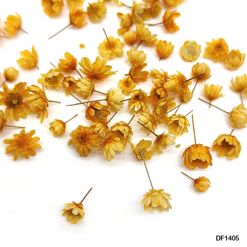 DF1405 DRY FLOWER 140PCS ROUND BOX ORANGE