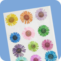 DF46- 3 DRY 12 FLOWER SHEET