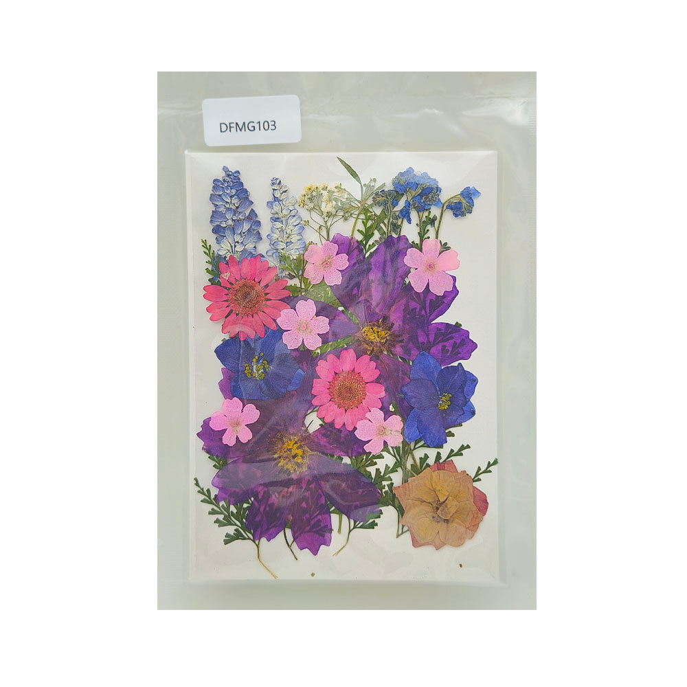 DFMG103 DRY FLOWER SHEET