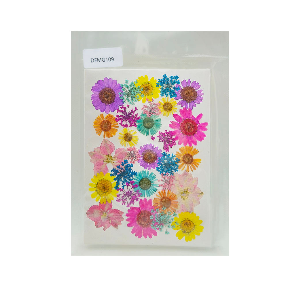 DFMG109 DRY FLOWER SHEET