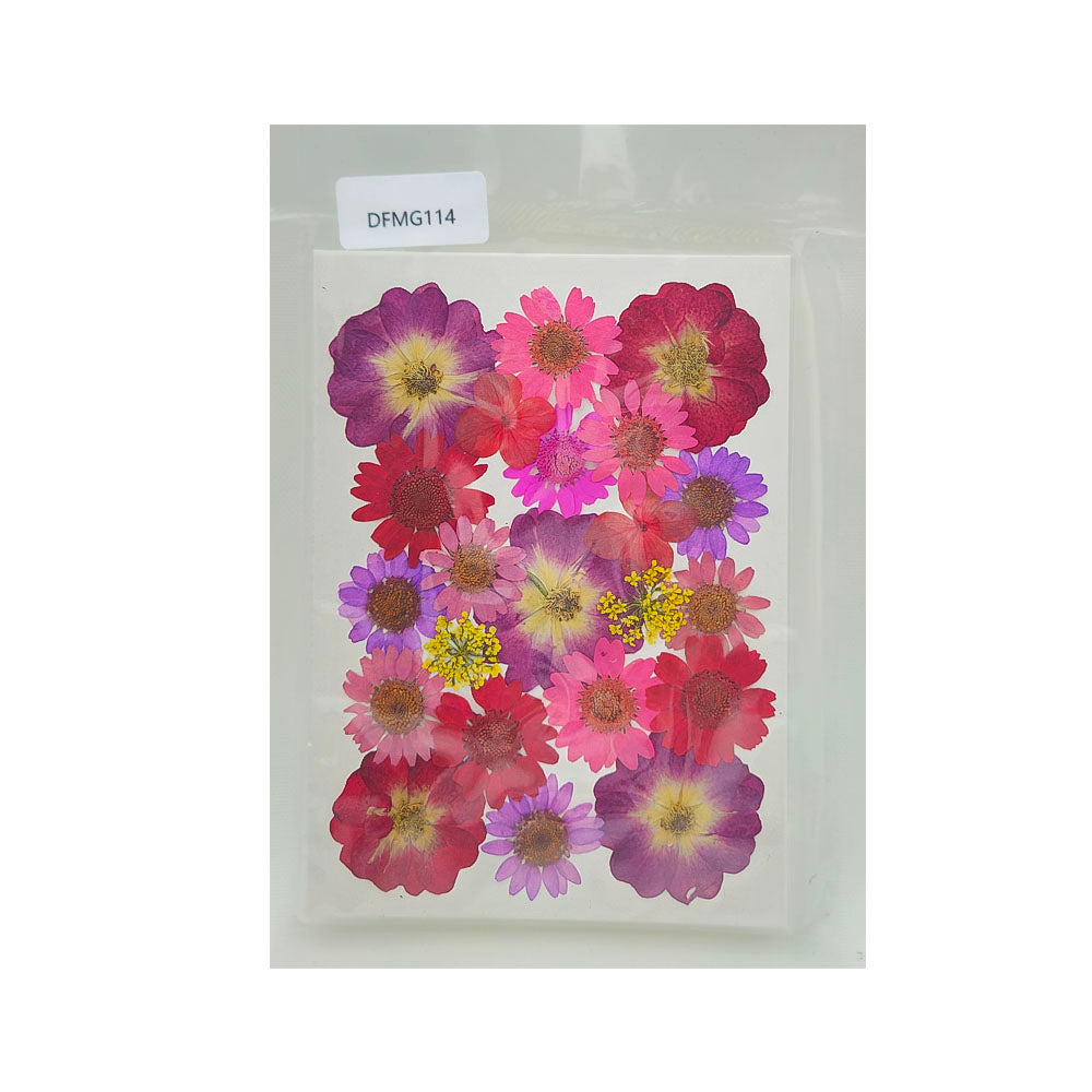 DFMG114 DRY FLOWER SHEET