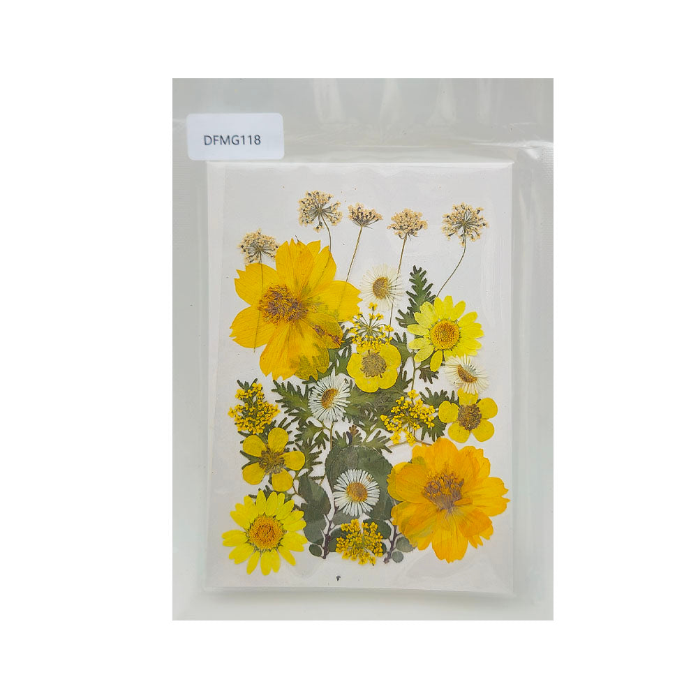 DFMG118 DRY FLOWER SHEET