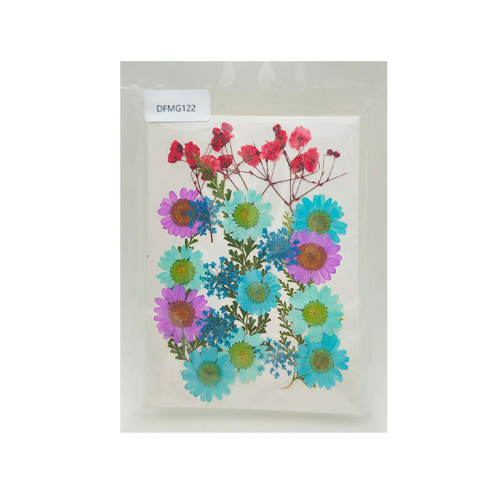 DFMG122 DRY FLOWER SHEET