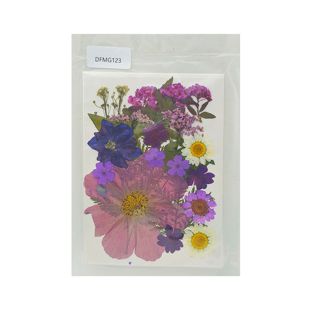 DFMG123 DRY FLOWER SHEET