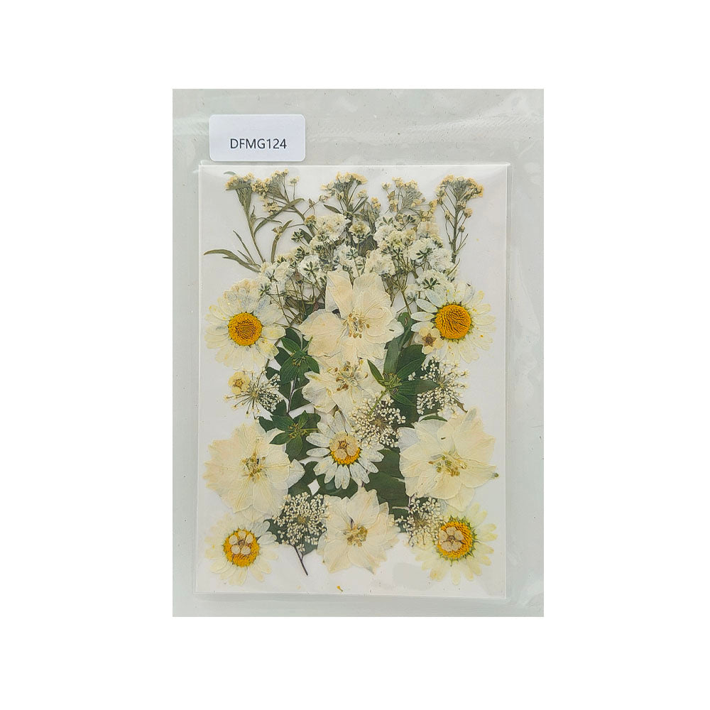 DFMG124 DRY FLOWER SHEET