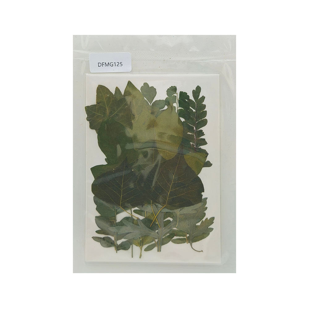 DFMG125 DRY FLOWER SHEET