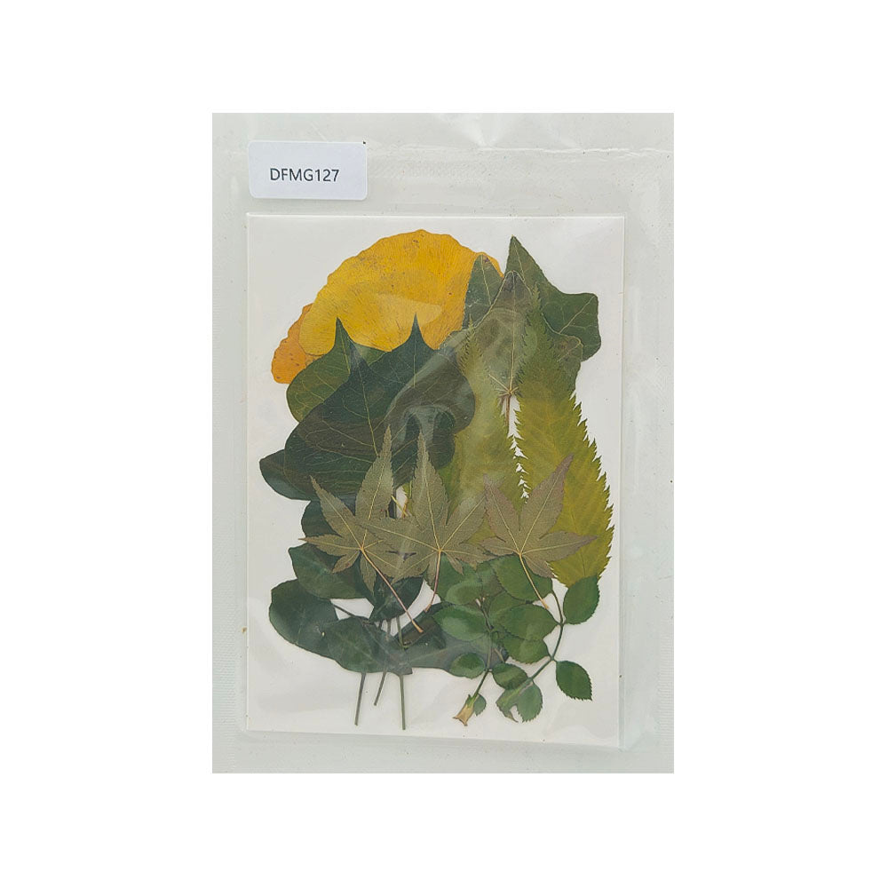 DFMG127 DRY FLOWER SHEET