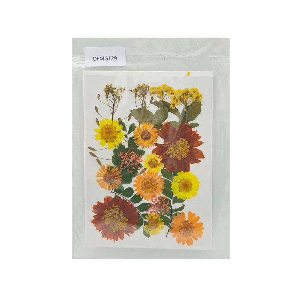 DFMG129 DRY FLOWER SHEET