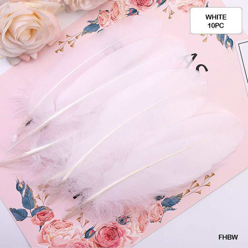 FEATHER HARD BIG WHITE (FHBW) (10PCS)