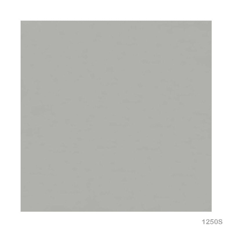 12X12 CARD 50 SHEET SILVER 300GSM (1250S)
