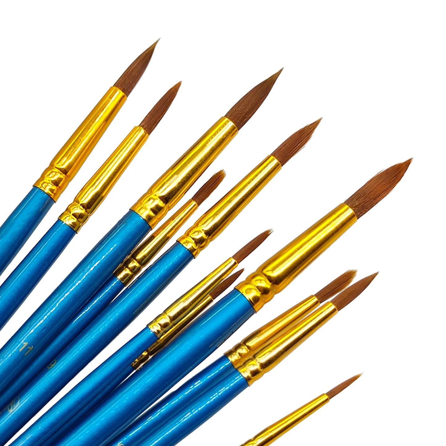 12PC PAINT BRUSH BLUE R (12PBR)