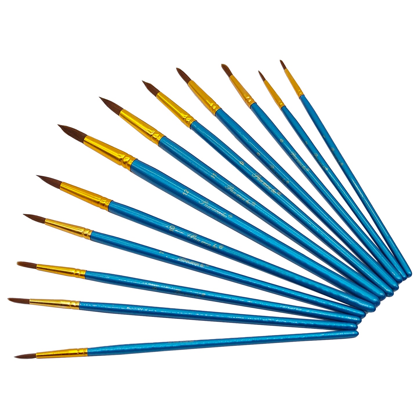 12PC PAINT BRUSH BLUE R (12PBR)