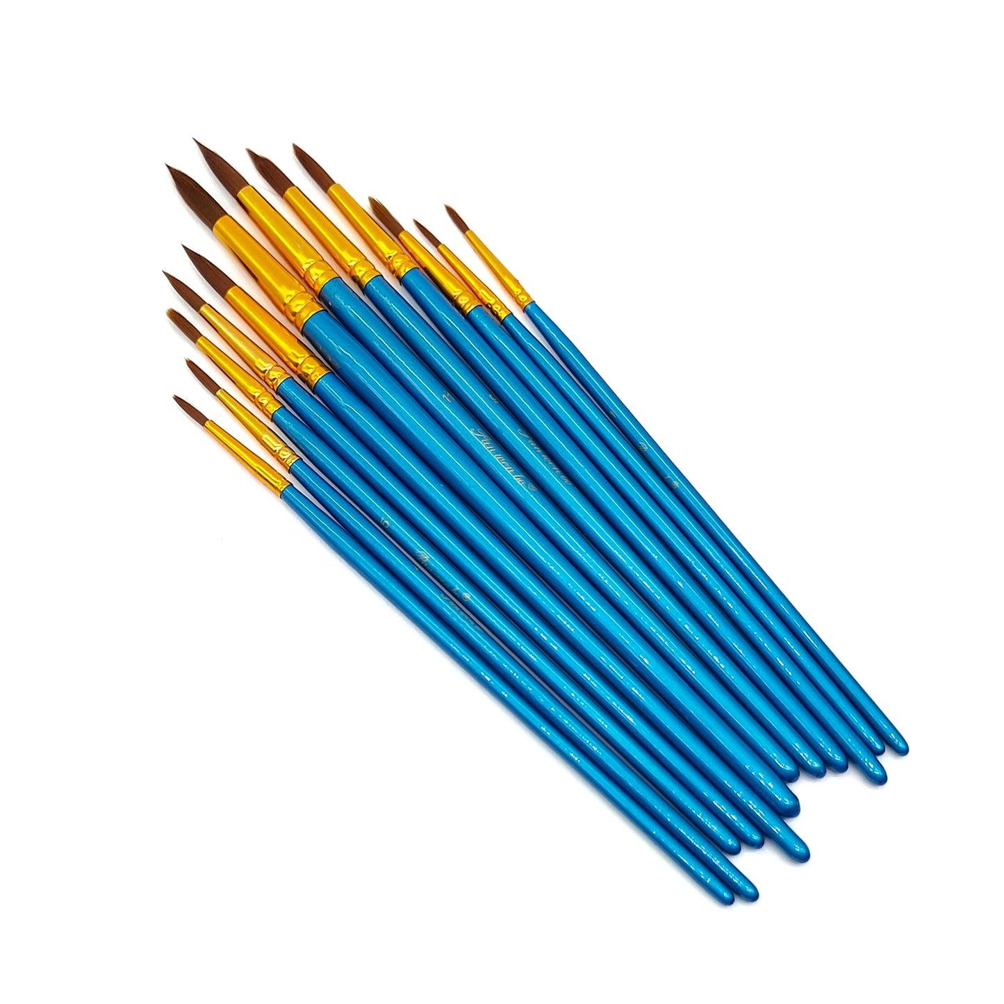 12PC PAINT BRUSH BLUE R (12PBR)