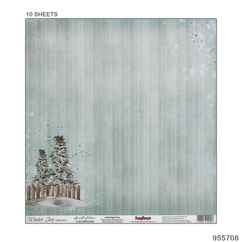 12X12 PAPER 10 SHEET SPRINKLE OF SNOW (955708)