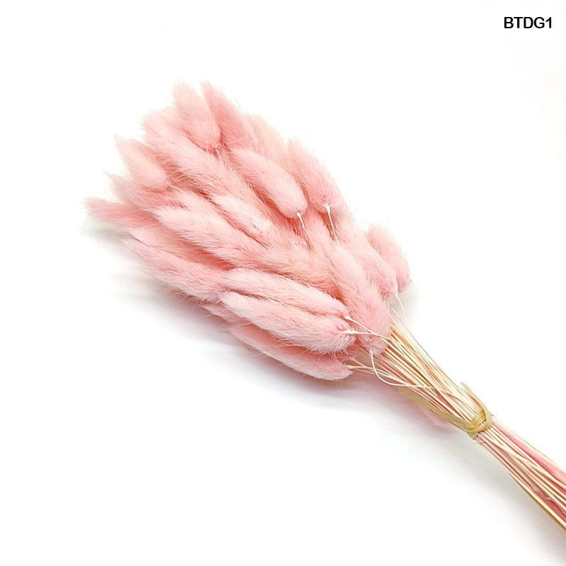 BUNNY TAIL DRIED GRASS 60 PCS (BTDG12)