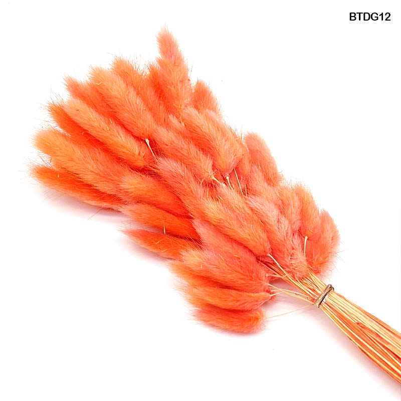 BUNNY TAIL DRIED GRASS 60 PCS (BTDG12)