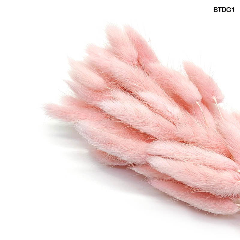 BUNNY TAIL DRIED GRASS 60 PCS (BTDG12)