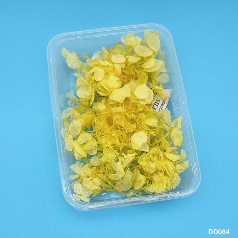 DD084 DRY FLOWER BOX