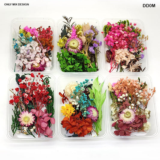 DD0M DRY FLOWER BOX MIXED COLOR