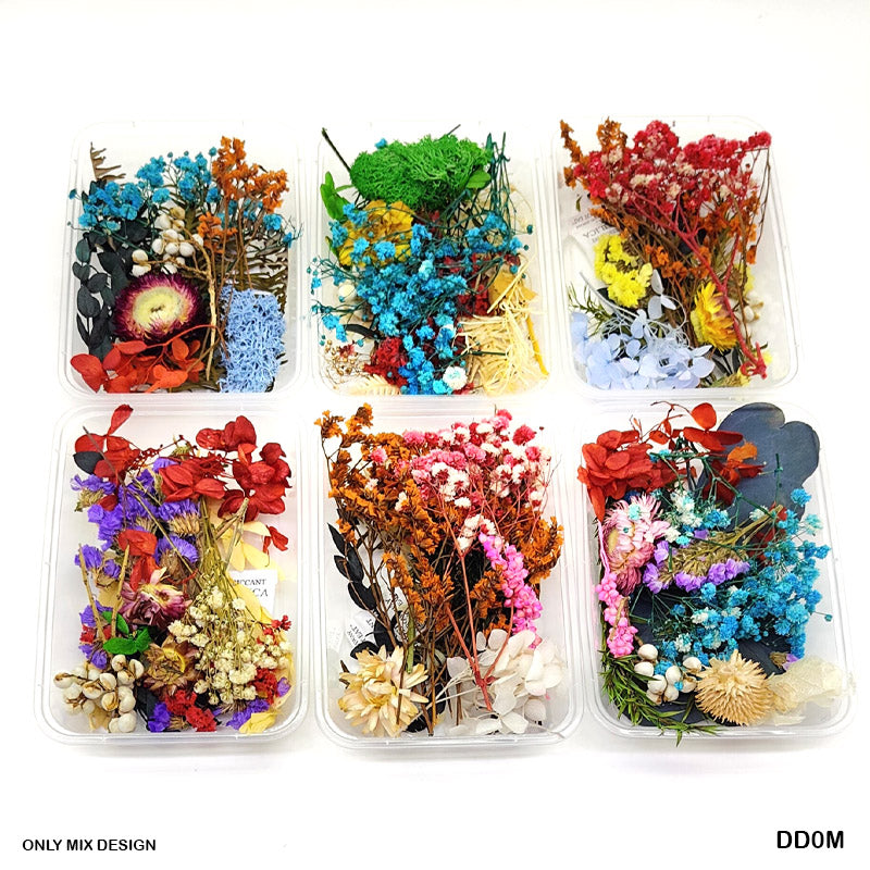 DD0M DRY FLOWER BOX MIXED COLOR