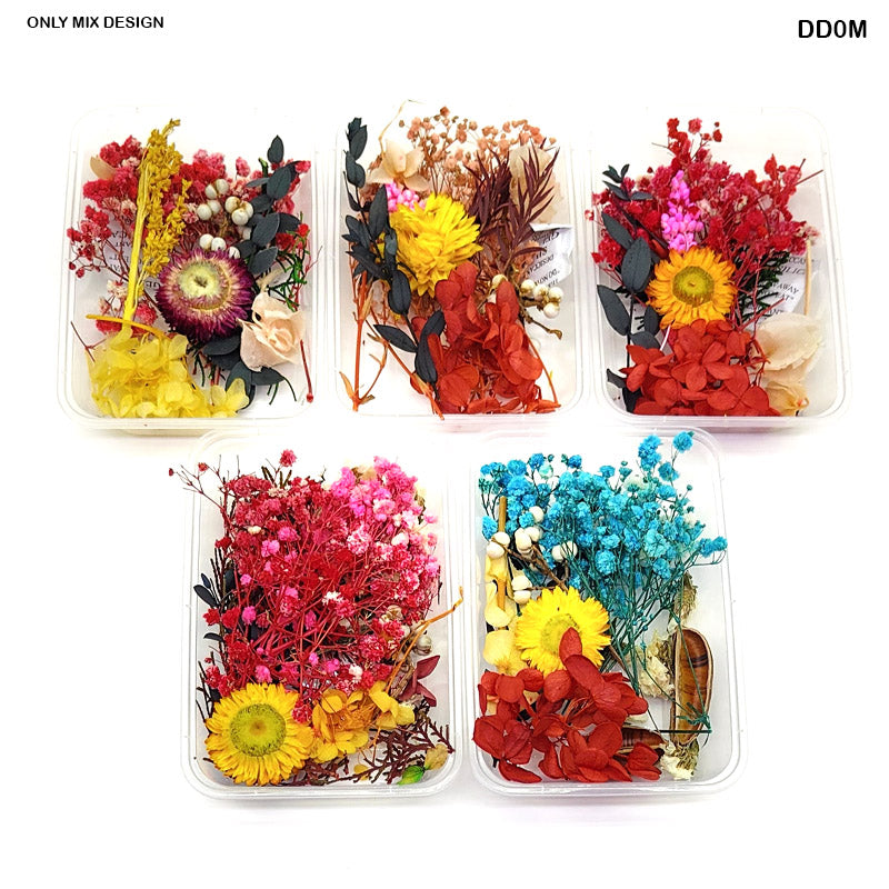 DD0M DRY FLOWER BOX MIXED COLOR