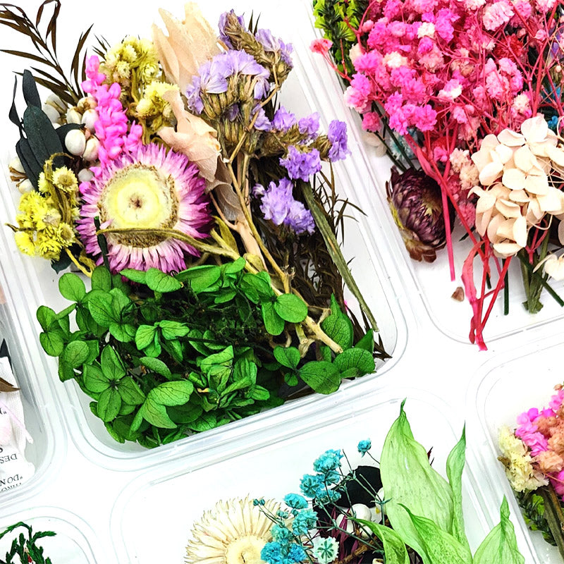 DD0M DRY FLOWER BOX MIXED COLOR