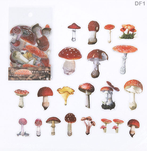 DF116- 7 DRY FLOWER SHEET