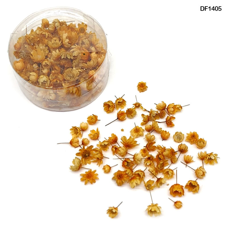 DF1405 DRY FLOWER 140PCS ROUND BOX ORANGE
