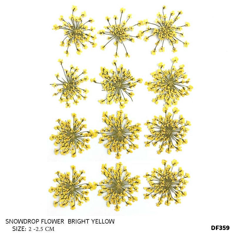 DF359-13 DRY 9PC FLOWER SHEET