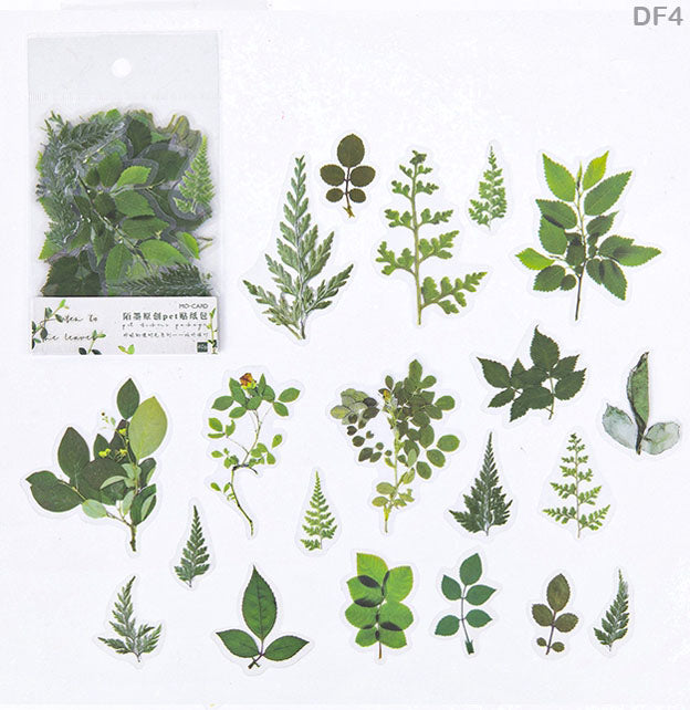 DF45-22 DRY 12 FLOWER SHEET
