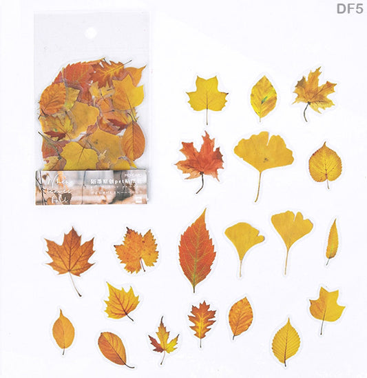 DF50-15 PRESSED FLOWER SHEET