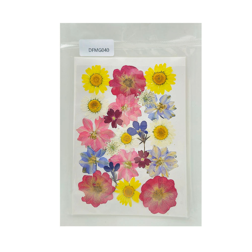 DFMG040 DRY FLOWER SHEET