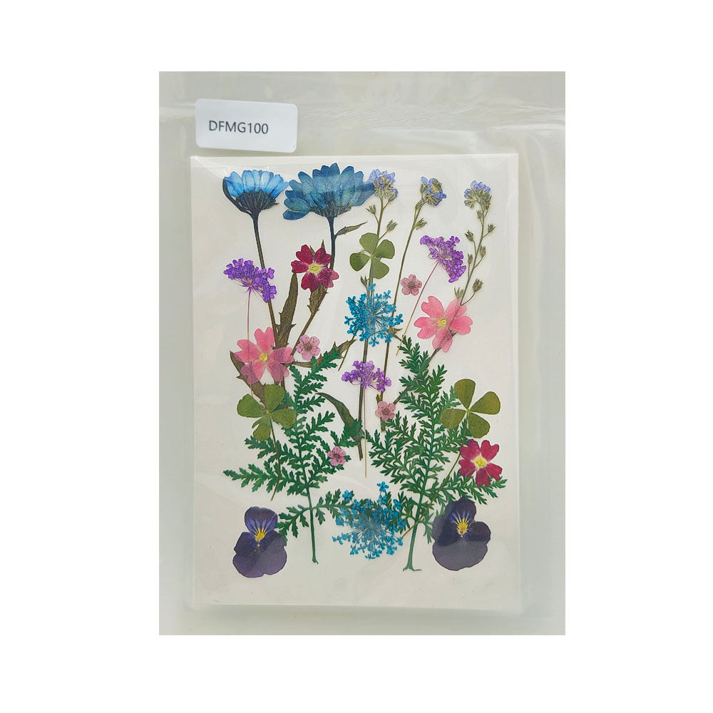 DFMG100 DRY FLOWER SHEET