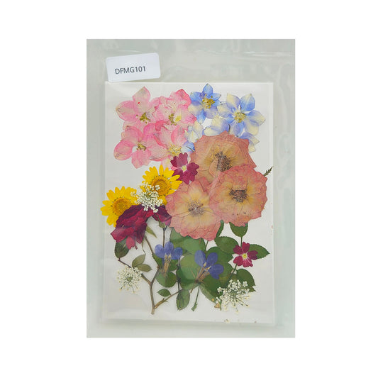 DFMG101 DRY FLOWER SHEET