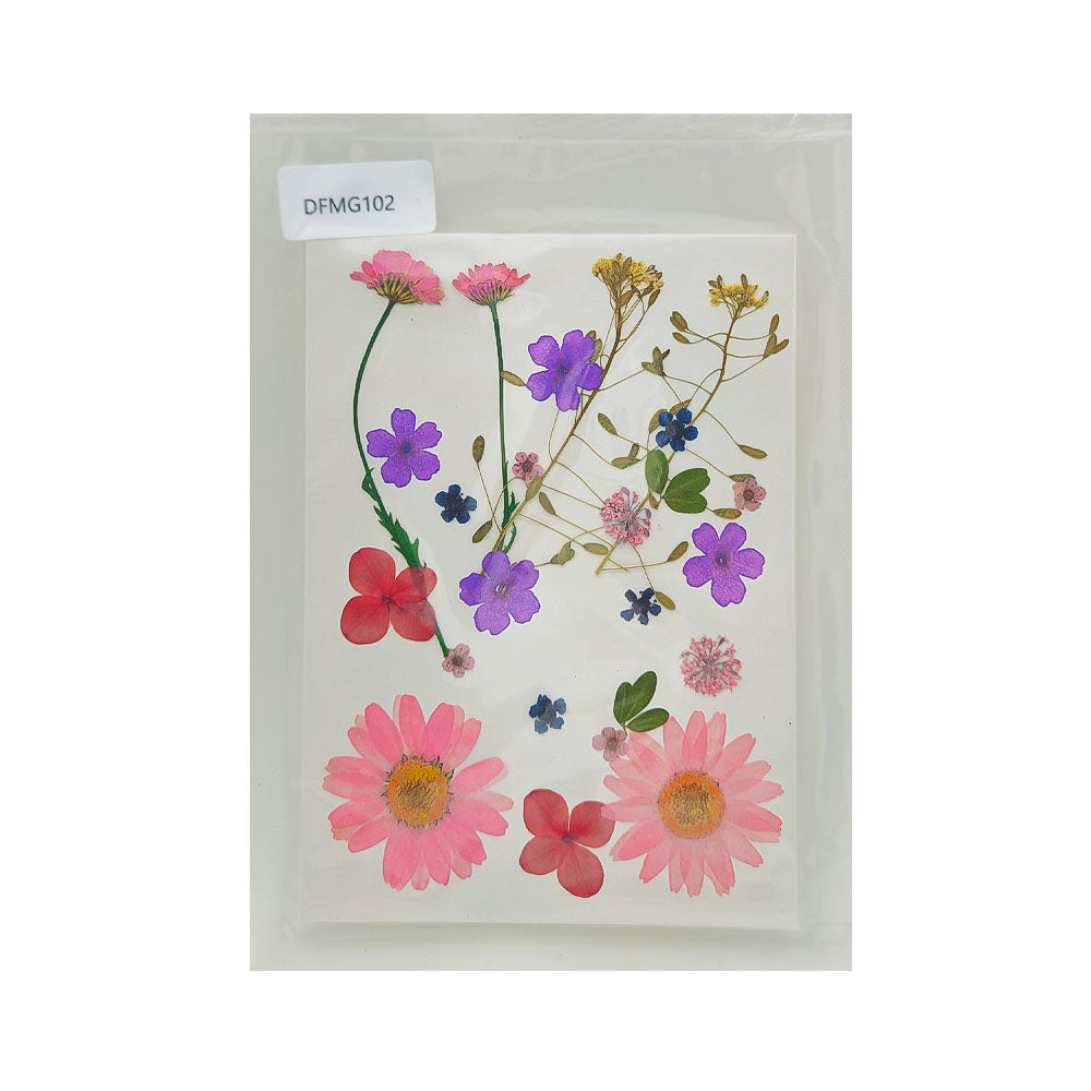 DFMG102 DRY FLOWER SHEET