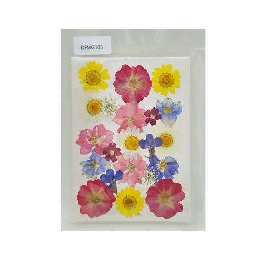 DFMG105 DRY FLOWER SHEET