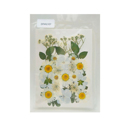 DFMG107 DRY FLOWER SHEET