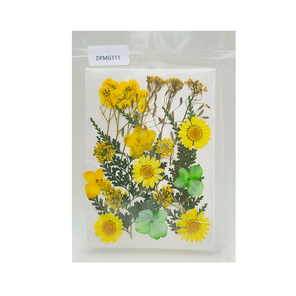 DFMG111 DRY FLOWER SHEET