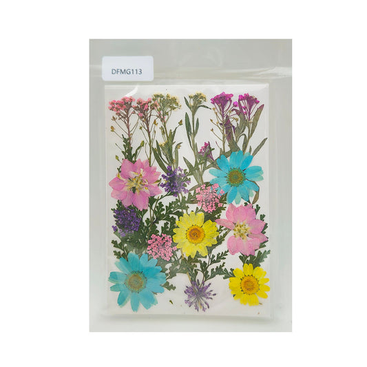 DFMG113 DRY FLOWER SHEET