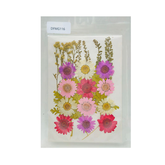 DFMG116 DRY FLOWER SHEET