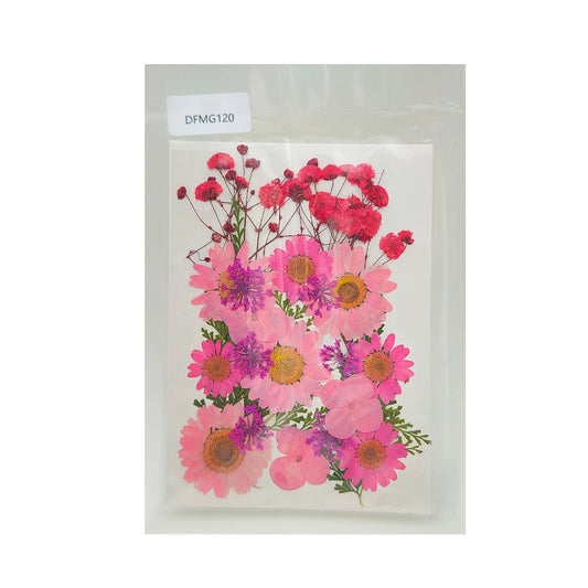 DFMG120 DRY FLOWER SHEET