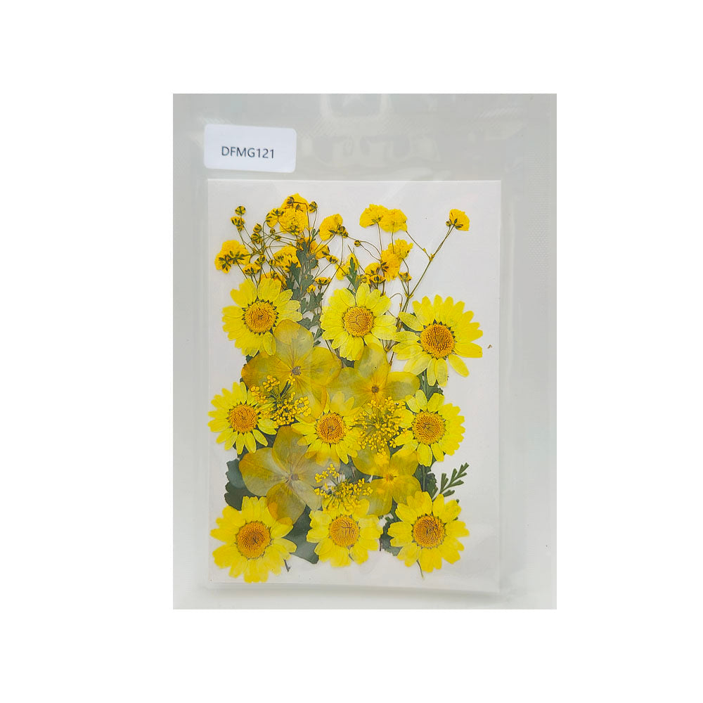 DFMG121 DRY FLOWER SHEET