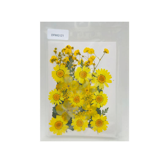 DFMG121 DRY FLOWER SHEET