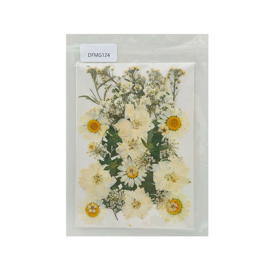 DFMG124 DRY FLOWER SHEET