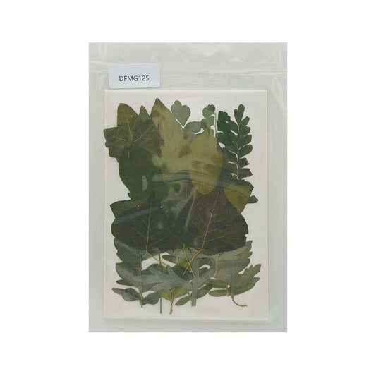DFMG125 DRY FLOWER SHEET