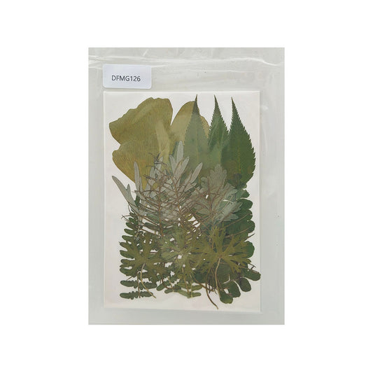 DFMG126 DRY FLOWER SHEET