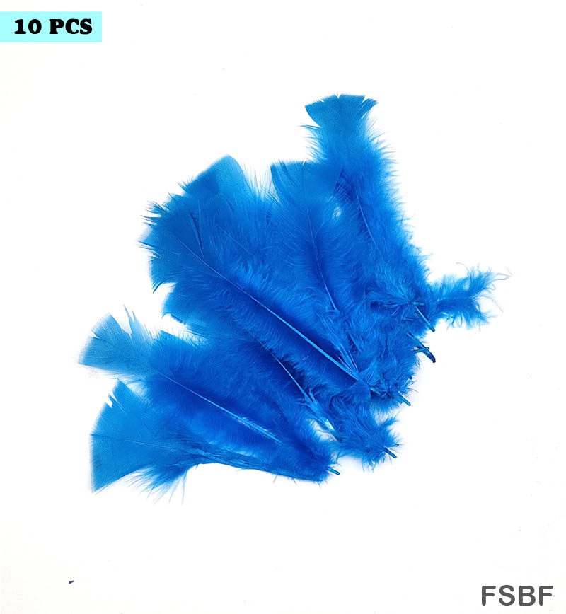 FEATHER SOFT BIG FIROZI (FSBF) (10pcs)